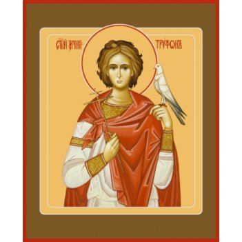 ������ �������, ����� (���.0597)