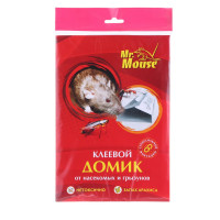   Mr. MOUSE  