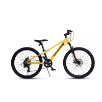  24 maxiscoo 7bike m300,  