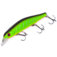   LJ Original FIT MINNOW SP, 11 ,  309