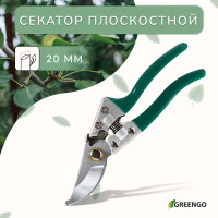  , 8 (20 ),  , Greengo