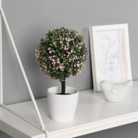 ������������� ������ � ������ �������� ��������, 10 19 ��, ����