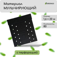  ,   (4 ), 20 1.6 ,  80 / ,   -, , greengo, 