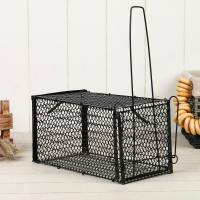 , 27 x 14 x 14 , , Greengo