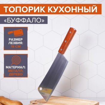    ,  19 