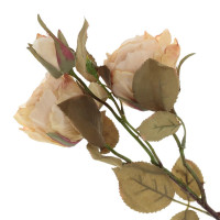   , l20 w15 h56 