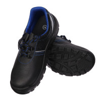    prosafe basic 23,  ,  41