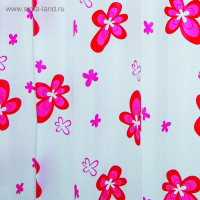     blume,   180200 