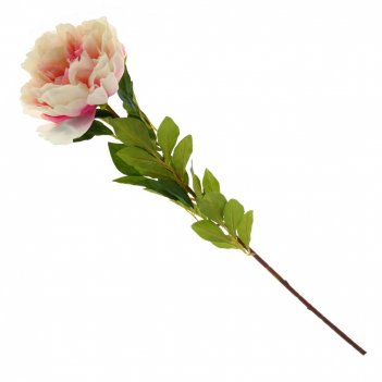   , l24 w24 h117 