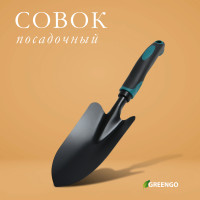   Greengo,  31.5 ,  8.5 ,   