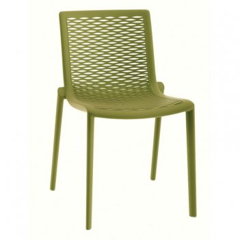   bellarden netkat,  