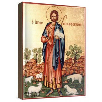 ����������� ������������  (���������� �����)