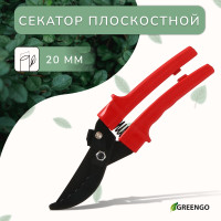  , 9 (23 ),   