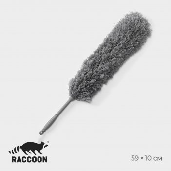 ٸ    raccoon, 59 ,  50 