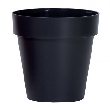    prosperplast cube 29, 