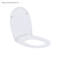   IDDIS 005PPS3i31, , , 
