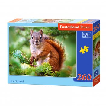  , 260 