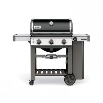   weber genesis ii e-310 gbs, 