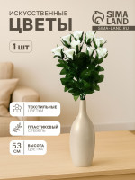     , h=53 , d=5 , 