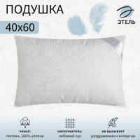   ,  , 40 60 , 