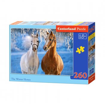  , 260 