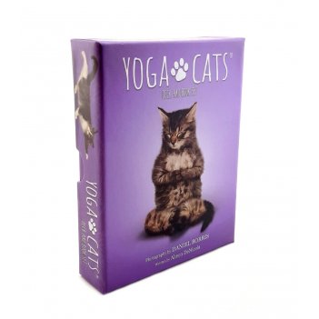  : yoga cats deck & book set