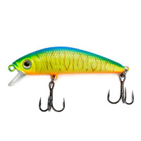  namazu shinga, 7 , 8 , ,  (0-0.5 ),  7