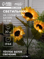   , ,   , 70 , 30 led,   