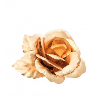 Ga-br-s ����� �����