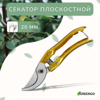  , 8 (20 ),   ,   , Greengo