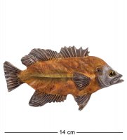 Ed- 45  