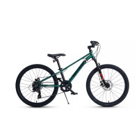  24 Maxiscoo 7Bike M300,  