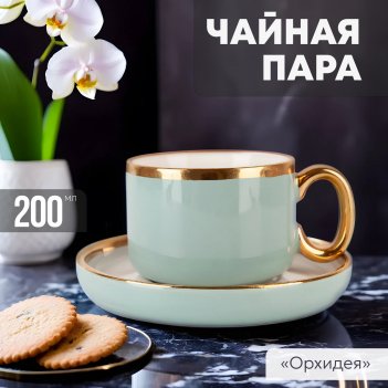    green 200  nouvelle