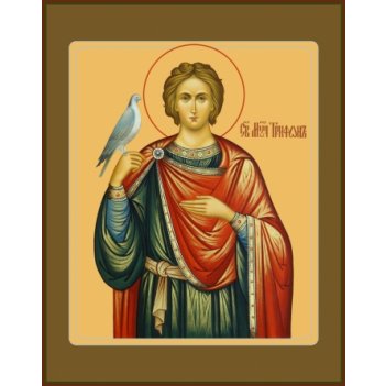 ������ �������, ����� (���.06508)