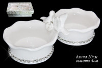 2  20.       lenardi