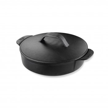   weber gbs  