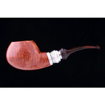  ser jacopo la fuma pulchra c