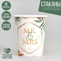    mr&mrs,  6 , 250 