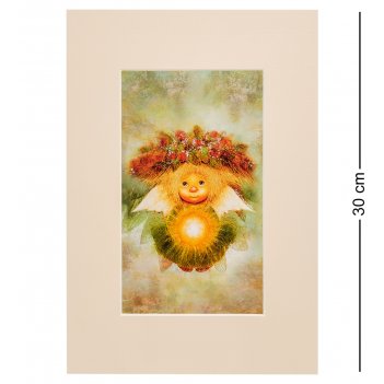 Ang-545      21*29,7