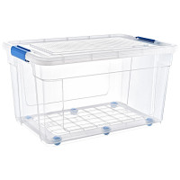     stormax glassy hobbylife 55 , ,  