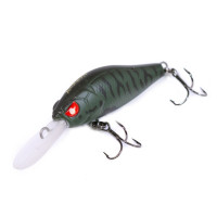  . lj pro series anira lbsp, 3.9 ,  304