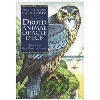  : druid animal oracle deck reissue