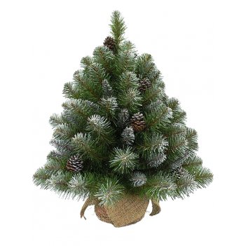   triumph tree ()   , 