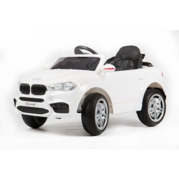  barty bmw x5 (m004mp) ,  eva (),  