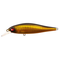  . lj pro series anira sp, 4.9 ,  107