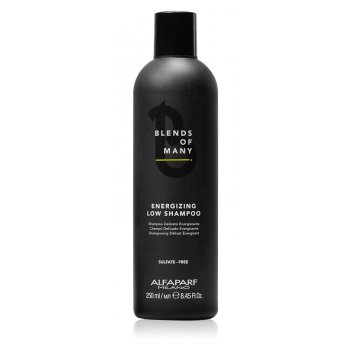    energizing low shampoo, 250  alfaparf 