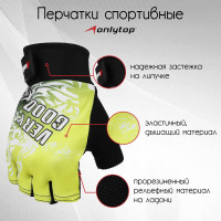   ONLYTOP, . L,  