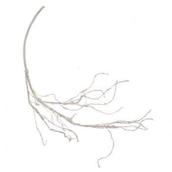   , 135 ( .)