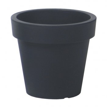    prospeplast lexo round 430, 