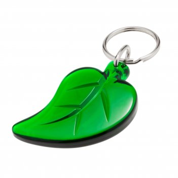  folium, 